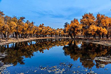 暴雪遭受DDOS攻击 《暗黑4》《魔兽》登录受影响